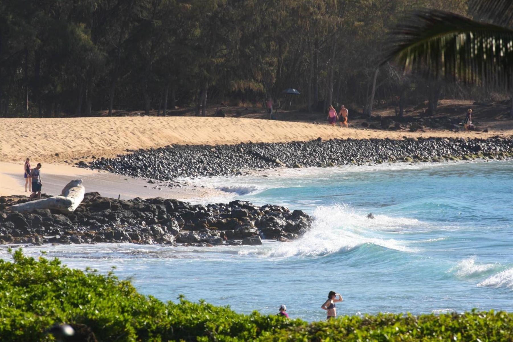 Poipu Sands 513 - Ocean Front コロア エクステリア 写真