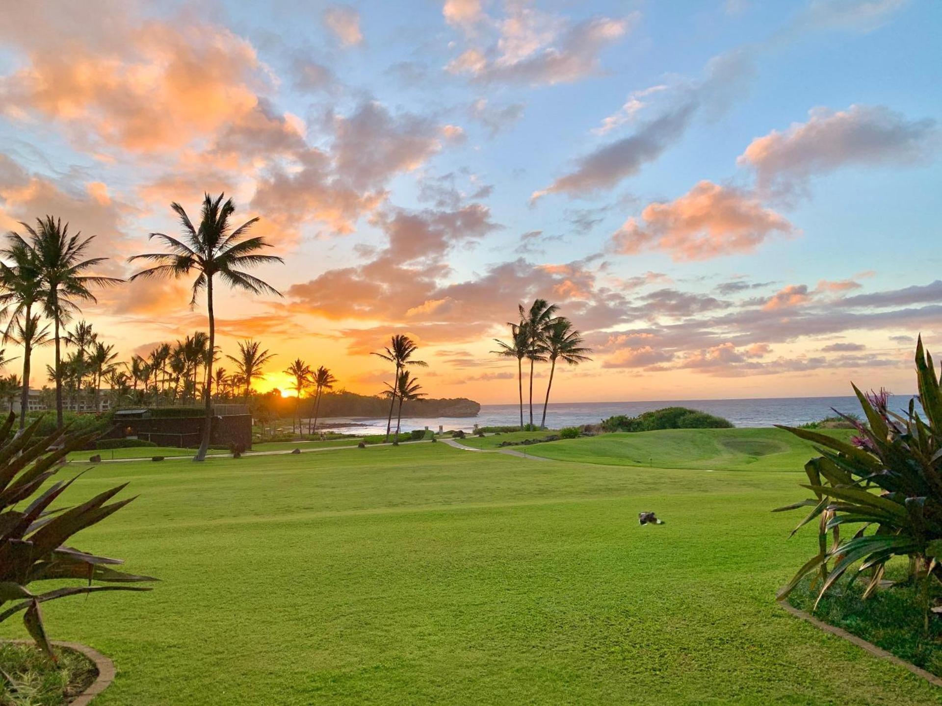 Poipu Sands 513 - Ocean Front コロア エクステリア 写真